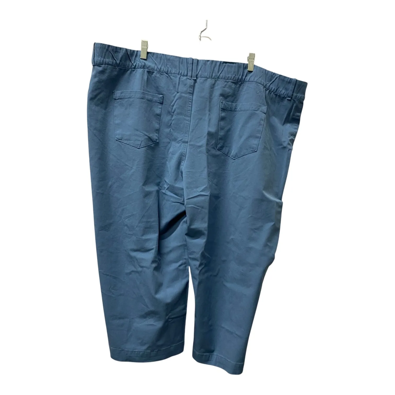 Pants Cropped By Any Body In Blue, Size:22